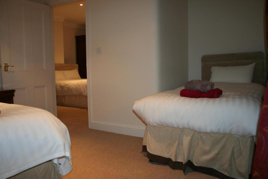 Hotel The Trewythen Llanidloes Esterno foto